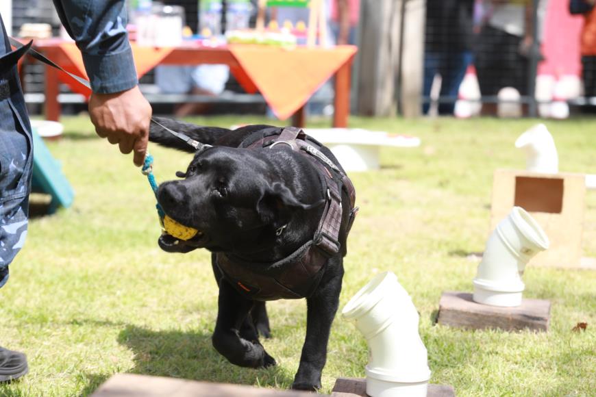A praça pet faz uma homenagem à cachorra Índia, que atuou por nove anos na Guarda Municipal de Belém, como farejadora no Grupamento de Ações Táticas com Cães (Atac).